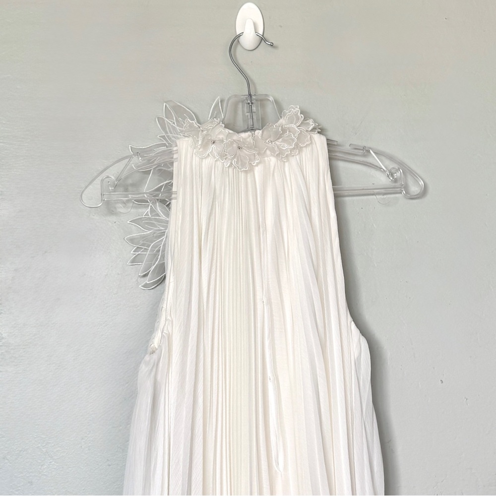 Tadashi Shoji Ivory Pleated Trapeze Chiffon Midi Dress Size XS - Picture 4 of 13